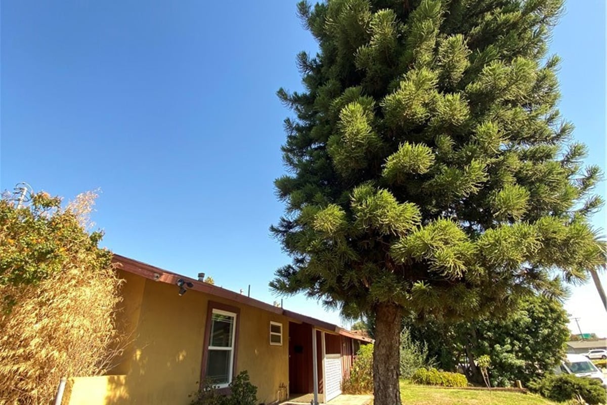 1263 Douglass, Pomona, CA 91768 — photo 1 of 4