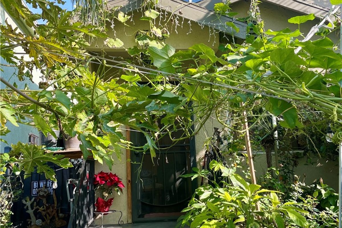 6558 S Van Ness, Los Angeles, CA 90047 — photo 1 of 9