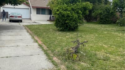6861 Ranchito Avenue, Van Nuys, CA, 91405 - image 1