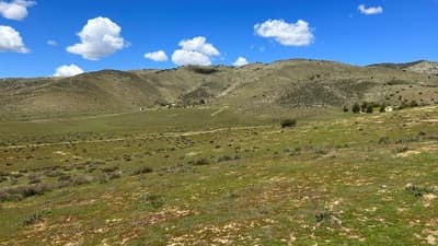6931 Sierra, Agua Dulce, CA, 91390 - image 1