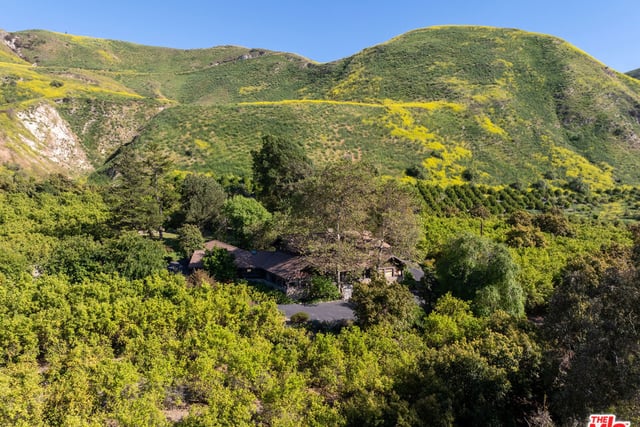 15454 S Mountain Road, Santa Paula, CA 93060 — photo 3 of 65