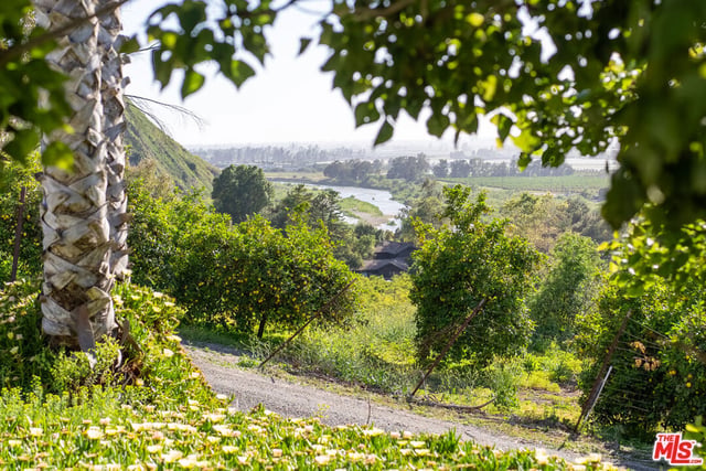 15454 S Mountain Road, Santa Paula, CA 93060 — photo 56 of 65