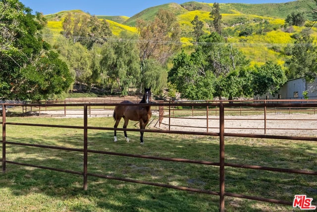 15454 S Mountain Road, Santa Paula, CA 93060 — photo 61 of 65