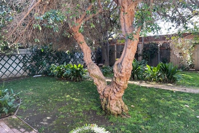 6709 Vesper, Van Nuys, CA 91405 — photo 30 of 35