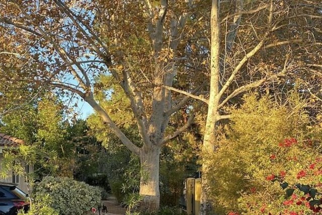 8311 Sale Avenue, West Hills, CA 91304 — photo 24 of 43