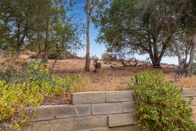 3740 Summershore Lane, Westlake Village, CA 91361 — photo 18 of 22
