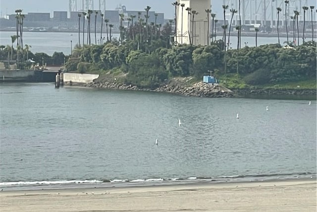 1140 E Ocean Boulevard 320, Long Beach, CA 90802 — photo 2 of 16