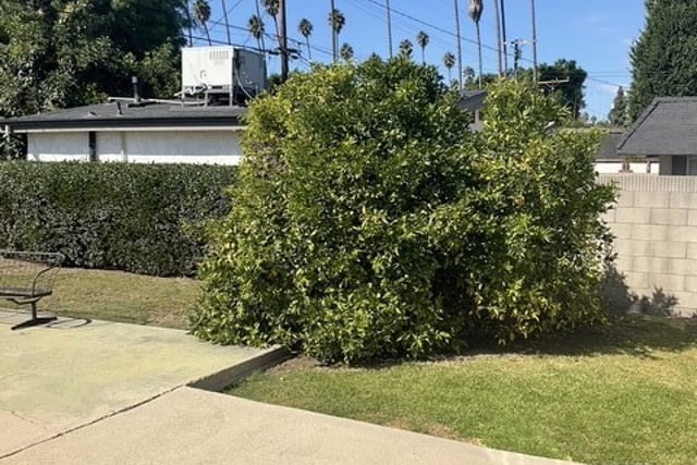4165 2nd, Los Angeles, CA 90008 — photo 13 of 20