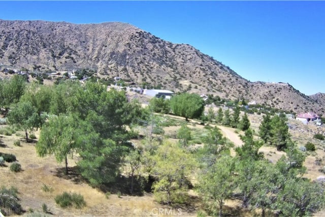 32151 Quirk, Acton, CA 93510 — photo 46 of 57