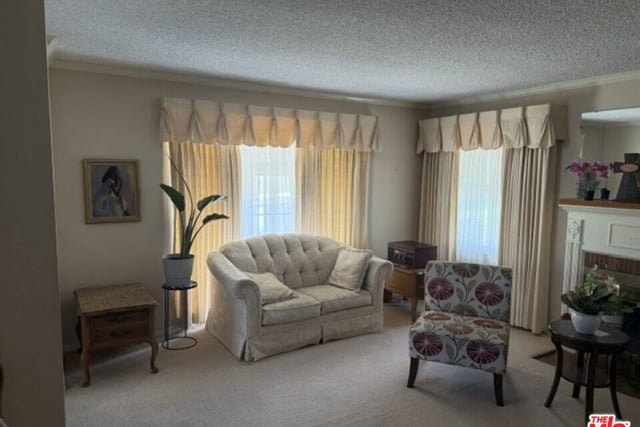 3511 Floresta Avenue, Los Angeles, CA 90043 — photo 3 of 61