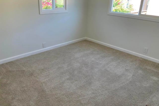 4603 Balfour Rd., Brentwood, CA 94513 — photo 29 of 40