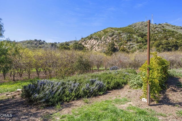 4620 Casitas Pass Road, Ventura, CA 93001 — photo 63 of 68