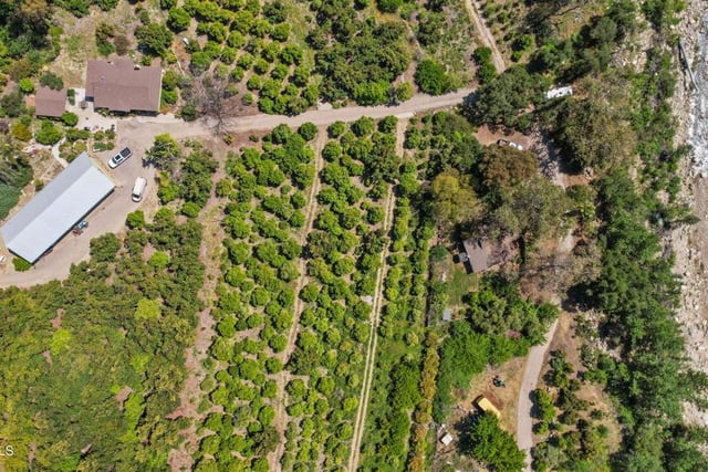 5682 Pine Grove Road, Santa Paula, CA 93060 — photo 8 of 53