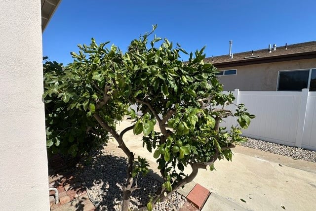 15804 Dalton Avenue, Gardena, CA 90247 — photo 21 of 23