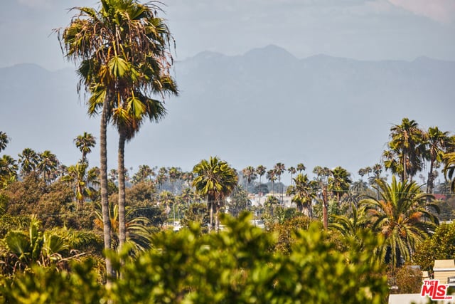 33 26th Avenue, Venice, CA 90291 — photo 36 of 41