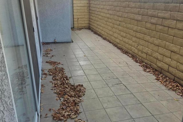 14506 Benefit Street 104, Sherman Oaks, CA 91403 — photo 14 of 17
