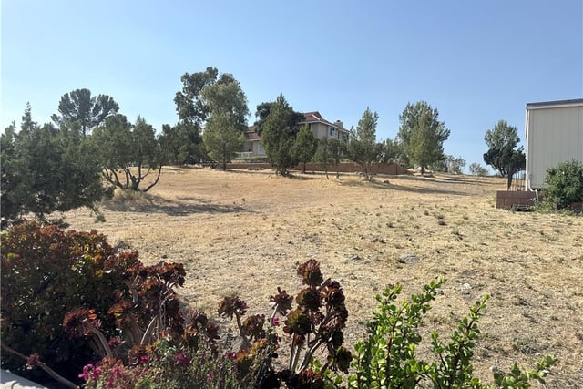 32080 Avenida Donari, Agua Dulce, CA 91390 — photo 54 of 74