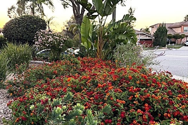 7 Carob, Newbury Park, CA 91320 — photo 25 of 50