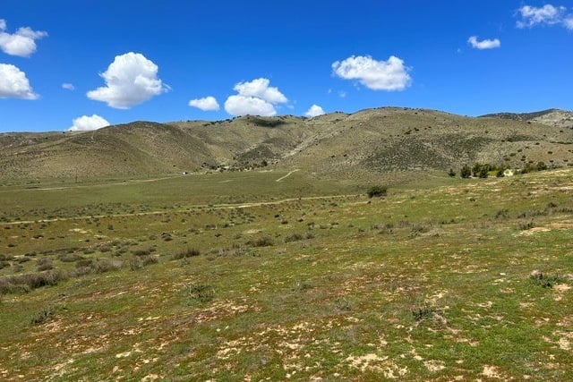 6931 Sierra, Agua Dulce, CA 91390 — photo 74 of 75
