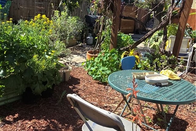 700 W 77th, Los Angeles, CA 90044 — photo 24 of 27