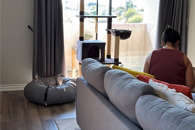 2309 E 17th 202, Long Beach, CA 90804 — photo 27 of 53
