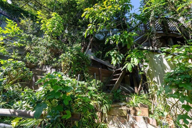 8869 Lookout Mountain Ave, Los Angeles, CA 90046 — photo 46 of 52