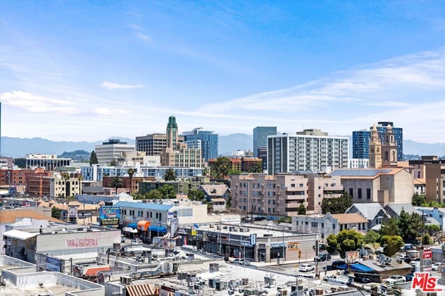904 S New Hampshire Avenue 407, Los Angeles, CA 90006 — photo 38 of 40