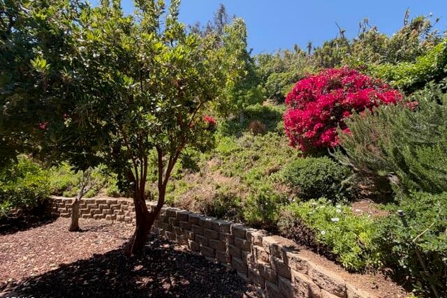 657 Dana Drive, Santa Paula, CA 93060 — photo 49 of 58