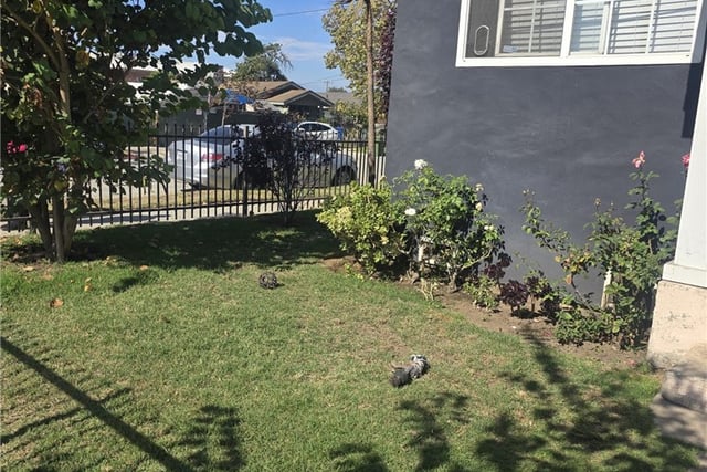 6700 10th, Los Angeles, CA 90043 — photo 3 of 14