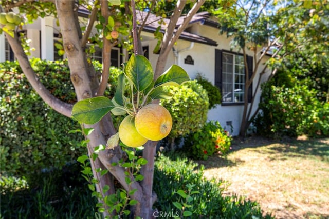 6331 Murietta Avenue, Van Nuys, CA 91401 — photo 48 of 48