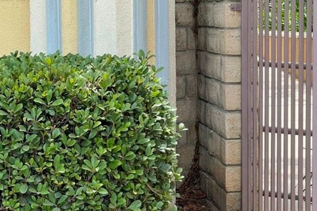 3538 Torrance Boulevard 120, Torrance, CA 90503 — photo 37 of 37