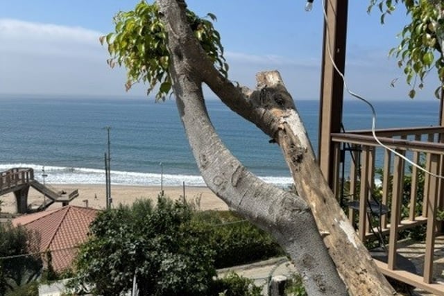 17614 Posetano Road, Los Angeles, CA 90272 — photo 4 of 57