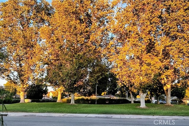25845 Espinoza Drive, Valencia, CA 91355 — photo 39 of 43
