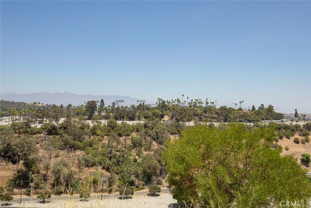 1049 N Joels Place, Los Angeles, CA 90012 — photo 45 of 56