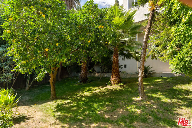 3141 E La Suvida Drive, Los Angeles, CA 90068 — photo 36 of 48