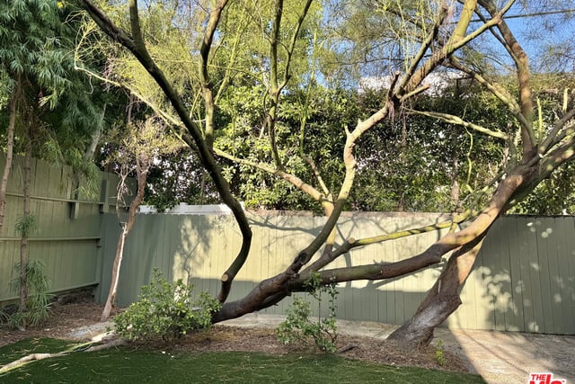 636 N Curson Avenue, Los Angeles, CA 90036 — photo 12 of 23