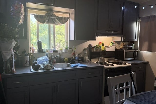 203 N Kern, Los Angeles, CA 90022 — photo 4 of 7