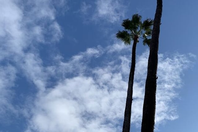 615 Hampton Drive C101, Los Angeles, CA 90291 — photo 39 of 40