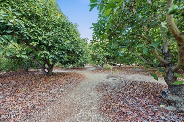 280 Cummings Road, Santa Paula, CA 93060 — photo 43 of 48