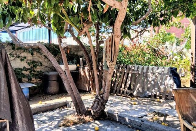 4219 Kenwood Avenue, Los Angeles, CA 90037 — photo 17 of 34