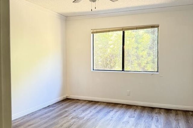 5036 Echo Street 308, Los Angeles, CA 90042 — photo 4 of 12