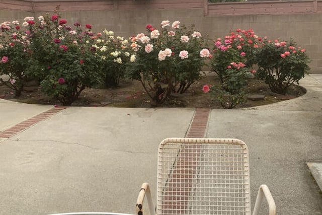 5132 Townsend Avenue, Los Angeles, CA 90041 — photo 29 of 36