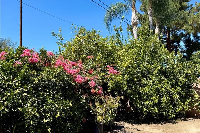 1245 Ross, Pomona, CA 91767 — photo 22 of 32