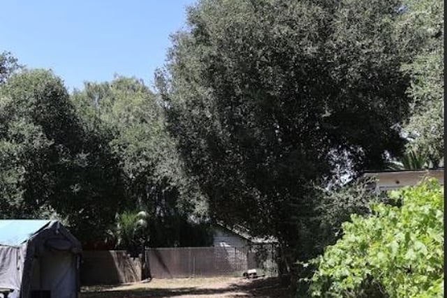 209 Carlton, Pasadena, CA 91103 — photo 17 of 23