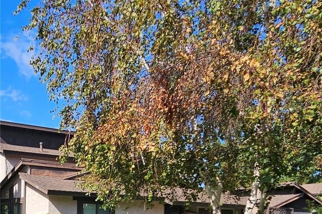 7552 Corbin Avenue 4, Reseda, CA 91335 — photo 29 of 30