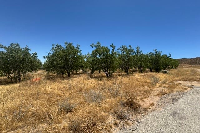 48245 235th W, Lancaster, CA 93536 — photo 49 of 75