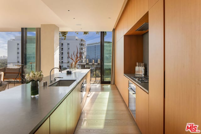 9040 W Sunset Boulevard 905, West Hollywood, CA 90069 — photo 7 of 22