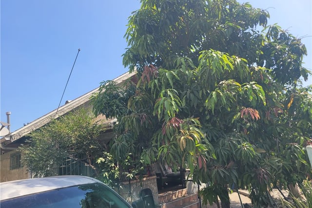1123 E 57th, Los Angeles, CA 90011 — photo 3 of 10