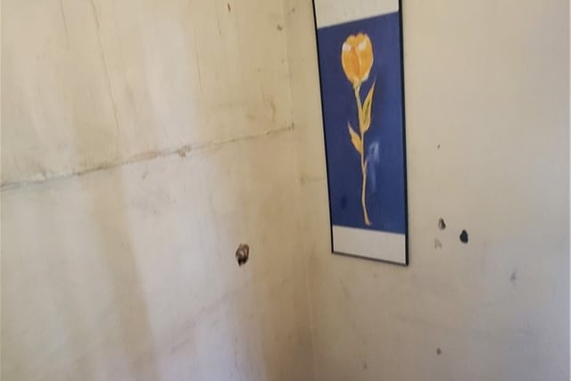7347 De Soto, Los Angeles, CA 91303 — photo 4 of 29