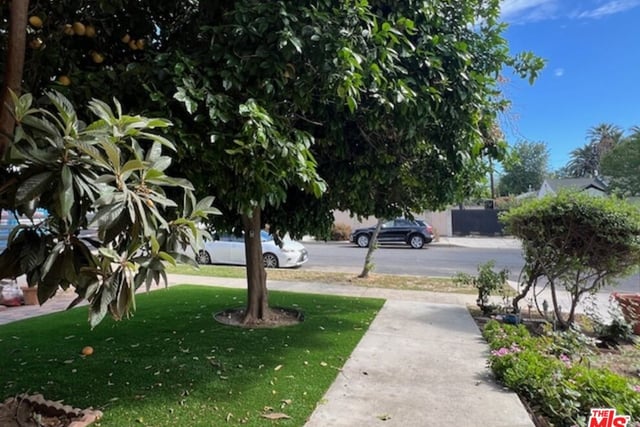 17355 Lemac Street, Northridge, CA 91325 — photo 36 of 50